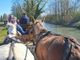 Bra è tappa del Paradriving Piemonte 2026, per superare la disabilità a cavallo