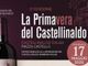 La Primavera del Castellinaldo Barbera d’Alba