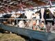 Un convegno sull'uso dei droni chiude domani la Mostra della Meccanica agricola di Saluzzo