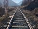 Domenica un treno storico Cuneo-Chivasso che passa da Saluzzo-Savigliano-Bra ed Alba