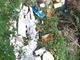 Discarica abusiva nei pressi di Casa Natura: il Comune di Canale sbarra la strada