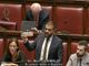 L'interrogazione del deputato torinese Marco Grimaldi L'interrogazione del deputato torinese Marco Grimaldi