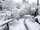 Quaranta (Acda): "Questa neve è preziosa, ma l'allarme resta alto"