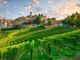Una veduta di Neive, borgo langarolo tra i più belli d'Italia