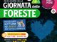 PIAN MUNE: Notturna per Famiglie per sensibilizzare al rispetto delle Foreste