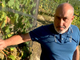 Sergio Germano, produttore di Serralunga d'Alba Sergio Germano, produttore di Serralunga d'Alba