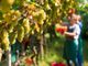 PNRR, per Coldiretti Cuneo servono 3 milardi in più per l'agricoltura