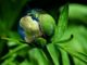 Clima e territorio: prevenzione e adattamento tra Italia e Francia al centro dell’evento ad Alba il 6 maggio