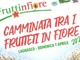 Fiori e frutti protagonisti a Lagnasco dal 5 al 7 aprile con la XXI edizione di Fruttinfiore Fiori e frutti protagonisti a Lagnasco dal 5 al 7 aprile con la XXI edizione di Fruttinfiore