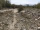 In Piemonte manca l’acqua, Arpa fa tremare i cittadini: “Potrebbe essere necessario razionarla” [VIDEO]