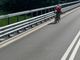 Bici sul raccordo autostradale a Fossano, la segnalazione di un nostro lettore Bici sul raccordo autostradale a Fossano, la segnalazione di un nostro lettore