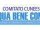 Il Comitato Cuneese Acqua Bene Comune replica a Dal Fabbro: "Iren si fa da parte?"
