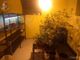 Trinità, coltivava marijuana in una "serra indoor": 45enne arrestato dalla Polizia