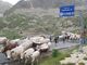 La festa della transumanza in alta Valle Stura (FOTO E VIDEO) La festa della transumanza in alta Valle Stura (FOTO E VIDEO)