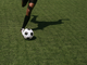 Come funzionano le quote nelle scommesse sportive: leggere probabilità, margine e valore reale