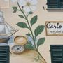 A Santa Vittoria d’Alba il botanico Bertero diventa "street art"