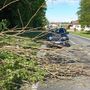 Vento forte con raffiche sino a 75 km/h in diverse zone della provincia. Numerosi gli interventi dei Vigili del fuoco per la caduta di alberi e rami