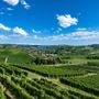 Una veduta delle colline che circondano Grinzane Cavour, nelle Langhe (Archivio Paesaggi Vitivinicoli - Lavezzo Studios)