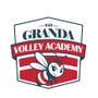 PALLAVOLO / Asd Granda Volley Academy presenta la nuova identità: l'ape, simbolo di una comunità che cresce insieme PALLAVOLO / Asd Granda Volley Academy presenta la nuova identità: l'ape, simbolo di una comunità che cresce insieme
