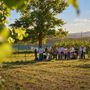 Al via le iscrizioni per l'Hazelnut Agronomy Program