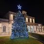 La magnolia della stazione si illumina: il Natale arriva a Bra