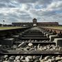 Foto di Massimiliano Stenta, il campo di concentramento di Auschwitz