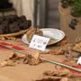 Il Centro Nazionale Studi Tartufo collaborerà con La Fiera Internazionale del tartufo bianco di Morisengo (credito Debora Lombardi)