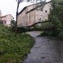 MALTEMPO / Forti raffiche di vento, alberi caduti e grandine dal Saluzzese al Braidese