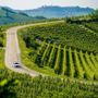 MOTORI / Le colline UNESCO abbracciano il Rally Regione Piemonte