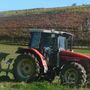 Reti d'impresa e marketing digitale, Cia Cuneo: "Aiuti concreti per le aziende agricole dagli ultimi due bandi della Camera di Commercio" Reti d'impresa e marketing digitale, Cia Cuneo: "Aiuti concreti per le aziende agricole dagli ultimi due bandi della Camera di Commercio"