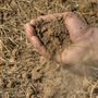Siccità, Confagricoltura Cuneo: “Non è più un’emergenza, ma una criticità strutturale per l’intero comparto agricolo”