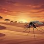 Giornata internazionale della zanzara (non in suo onore) per ricordare la lotta alla malaria Giornata internazionale della zanzara (non in suo onore) per ricordare la lotta alla malaria