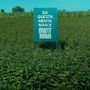 Mintriga: tutte le declinazioni della menta