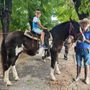 Bra, tanti bambini a cavallo per il battesimo della sella con i Cavalieri del Bandito Bra, tanti bambini a cavallo per il battesimo della sella con i Cavalieri del Bandito