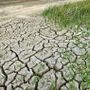 Siccità, Coldiretti Cuneo: l'emergenza continua, serve un confronto in regione Siccità, Coldiretti Cuneo: l'emergenza continua, serve un confronto in regione