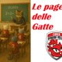 VOLLEY PLAY-OFF CHALLENGE CUP A1F / VALLEFOGLIA-HONDA CUNEO 1-3: le pagelle delle Gatte VOLLEY PLAY-OFF CHALLENGE CUP A1F / VALLEFOGLIA-HONDA CUNEO 1-3: le pagelle delle Gatte