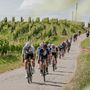 (ph profilo fb bra bra fenix internazionale langhe roero monferrato)
