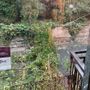 Italia Nostra Bra: “Alberi a rischio a Villa Augusta dopo il temporale” Italia Nostra Bra: “Alberi a rischio a Villa Augusta dopo il temporale”