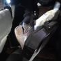 "È arrivata la neve": così i pusher avvisavano i clienti per spacciare la droga. Ecco come la Mobile ha interrotto il network criminale [VIDEO]