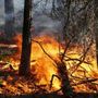 INCENDI / In Piemonte situazione in miglioramento, domani la riunione in Regione per l'emergenza idrica INCENDI / In Piemonte situazione in miglioramento, domani la riunione in Regione per l'emergenza idrica
