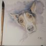 Disegno di Francesca Semeraro