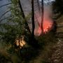 Emergenza incendi boschivi e siccità: la Regione estende all'intero Piemonte lo stato di emergenza regionale