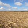 Siccità, allarme nel Cuneese, Coldiretti: "Comparto a rischio, occorre riconoscere lo stato di calamità naturale" Siccità, allarme nel Cuneese, Coldiretti: "Comparto a rischio, occorre riconoscere lo stato di calamità naturale"