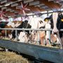 Un convegno sull'uso dei droni chiude domani la Mostra della Meccanica agricola di Saluzzo