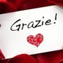 Il 21 settembre Giornata mondiale della gratitudine e Giornata mondiale della pace