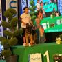 Da Bra a Mondovì con successo per Lara Giuliano e il suo pastore tedesco Vegas di Casa Borriello Da Bra a Mondovì con successo per Lara Giuliano e il suo pastore tedesco Vegas di Casa Borriello