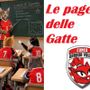 VOLLEY A1F / Imoco Conegliano-Granda Volley Cuneo 3-0, le pagelle delle Gatte VOLLEY A1F / Imoco Conegliano-Granda Volley Cuneo 3-0, le pagelle delle Gatte