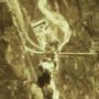 ACCADDE OGGI / Agosto 1944, quando la guerra arrivò davvero nelle case dei cuneesi