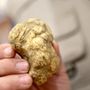 Tartufo e marroni, da Alba a Roccavione e Fossano dominano il week end della provincia di Cuneo