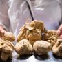 Tartufo, il Piemonte investe nella ricerca: al via il bando di tutela e sperimentazione Tartufo, il Piemonte investe nella ricerca: al via il bando di tutela e sperimentazione